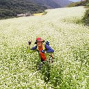 원산마을 이미지