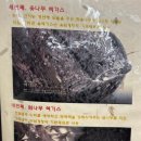 위시본삼계탕