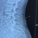 바로나 마취통증의학과 의원 이미지