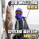 강릉 배낚시 체험 동원호 입맛대로 골라 타는 체험선단
