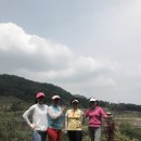 베뉴지CC 이미지