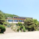 감나무집 | 충주 수안보면 맛집 감나무집 꿩전문점 후기