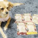 마드레펫 이미지