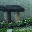 이솔팜빌리지 소리재 이미지