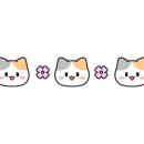 파란문안경원 이미지