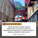 남원세계해외여행사 | [해외여행지 추천] '파란여행'의 퀘벡 2박 3일 여행후기 (2026.07.07)