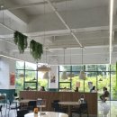 라라코스트 신월성점 이미지