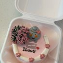 주정차23 | 제주공항 근처 레터링 케이크 주문 후기 | 차로 10분 거리 내돈내산 맛후기