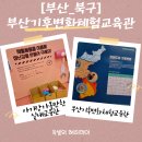 기후변화체험교육관 | [부산북구아이와가볼만한곳]부산기후변화체험교육관 방문후기