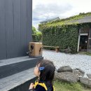 제파 | 제주 제파 후기｜월정리 카페 추천일까? 직접 가본 솔직 리뷰