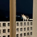 사색공간 풀빌라 이미지