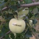 나무새 관광농원 이미지