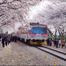 진해구 ⓒ-31 이미지