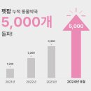 경보약국 이미지