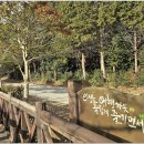 진봉