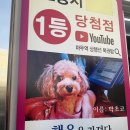 타르트문
