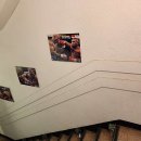 SB 복싱클럽 이미지