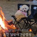 달빛펜션 | 달빛 애견 글램핑 재방문 후기 🐶 벌써 세 번째 다녀왔어요