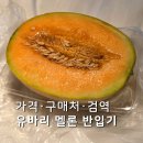 서석농협 제1산지유통센터 | 삿포로 유바리 멜론 반입 어떻게 하지? 가격·구매처·검역 방법까지