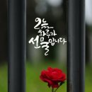기분좋은하루
