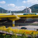 장성삼거리 이미지