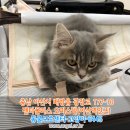 광장로 이미지