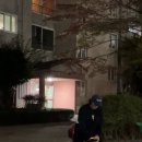 바이널언더그라운드 | 가을길은 고운길