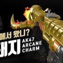 AK DOG 이미지