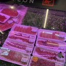 청년정육점 | 천안 성성동정육점, 청년미트 이용 솔직 후기!