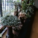 정원사우나 이미지