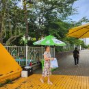 청수초등학교 이미지