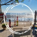 젤리엘, 쁘띠엘 | 안산대부도여행 전곡항, 젤리엘쁘띠엘펜션, 유리섬박물관, DBB칼국수, 뻘다방, 포도찐빵