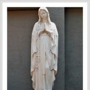 베드로목장2 이미지