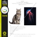 애니마션미술학원 - 양산시 야리로 31 | 애니마션미술학원