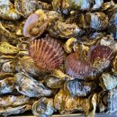 두성코인노래연습장 이미지