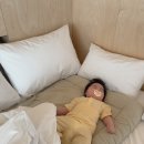 공주밤꽃향기 | [1박2일 공주여행] 아윤이와 함께하는 첫 공주여행 ⏜⋆˖𖤐 / 바므 카페, 피탕김탕, 부자떡집, 매향...