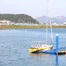 영덕대게거리 이미지