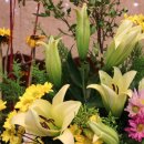 명성화원 이미지