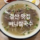비니 쌀국수