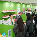 지마켓 카카오 검색결과