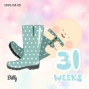 [임신일기 #6]31~34주차 (임신후기 만삭사진,성심당방문,33주차 배크기,태동검사)