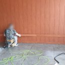 독산초등학교 이미지