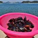 우리동네 국민상회 이미지