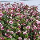 도토리농장 이미지