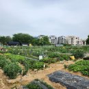 의왕농장 이미지