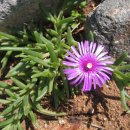 오광농장 이미지