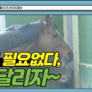 마을산책 이미지