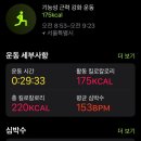 버핏그라운드 도곡, 팀버핏 도곡 이미지