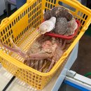 빵빵대게 | 영덕 강구항 동광어시장 대게 가리비 시세 및 포장 후기