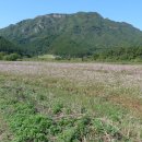 가람카센타 이미지